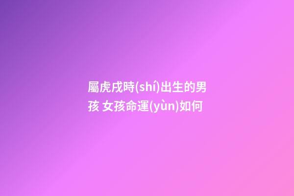 屬虎戌時(shí)出生的男孩 女孩命運(yùn)如何